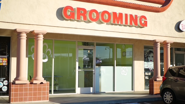 Pet Grooming / ペットグルーミング ビジネス